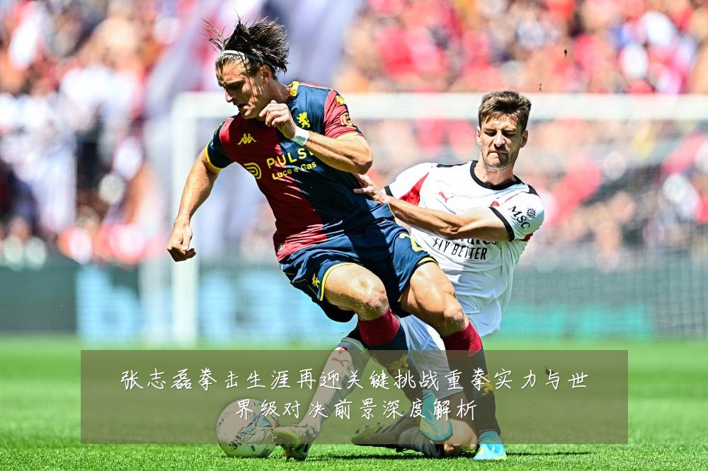 张志磊拳击生涯再迎关键挑战重拳实力与世界级对决前景深度解析